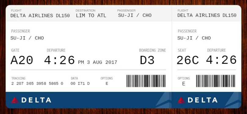 delta airlines ticket 2